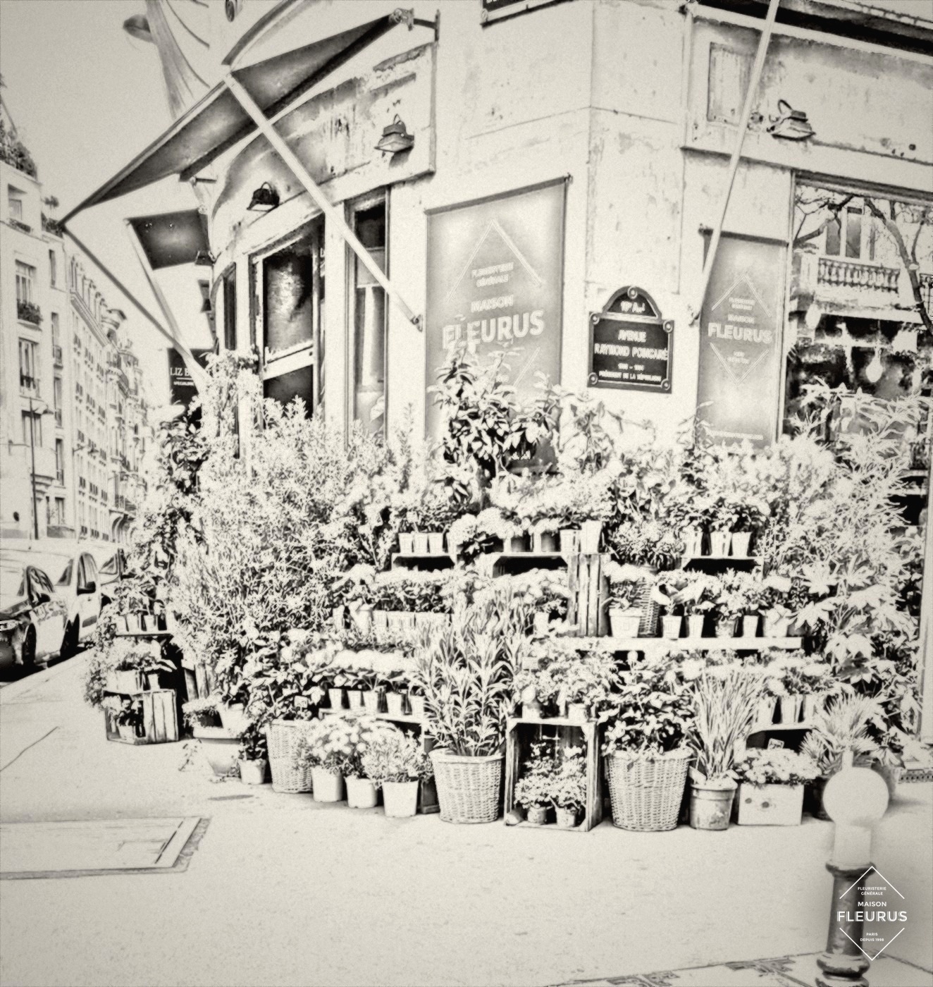 Devanture Maison Fleurus — Trocadéro, croquis au fusain