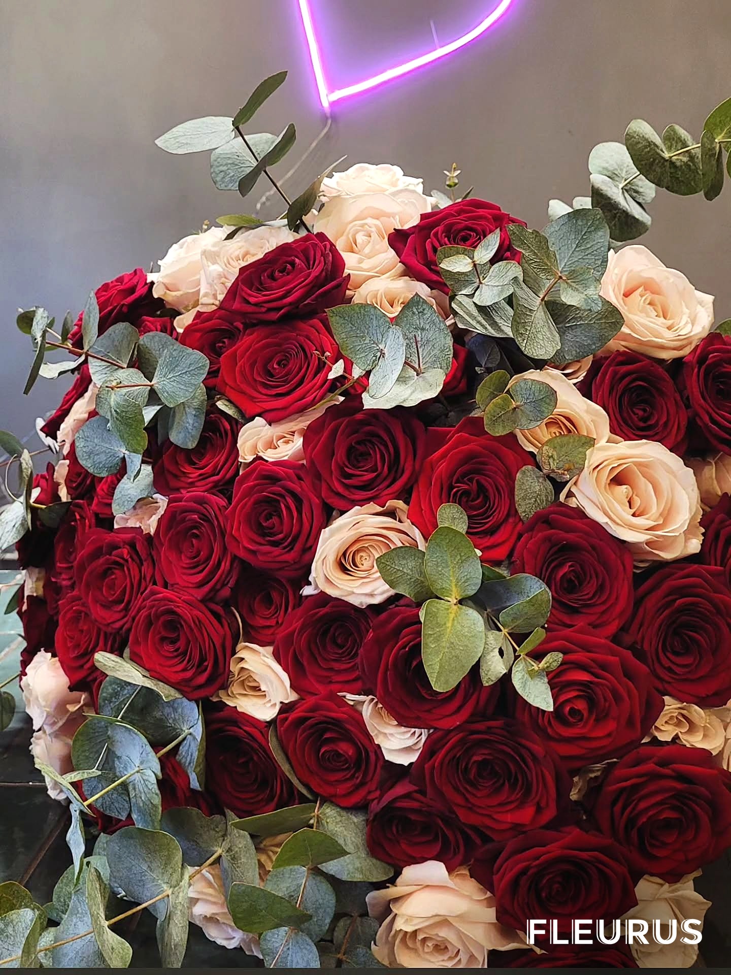Saint-Valentin — roses rouges et blanches en gros plan